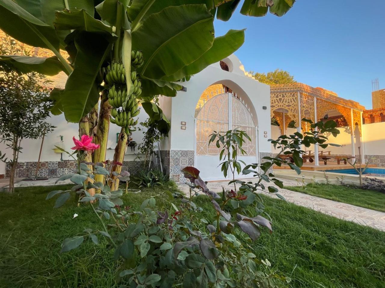 Villa Kemet Jazirat al Awwamiyah Esterno foto